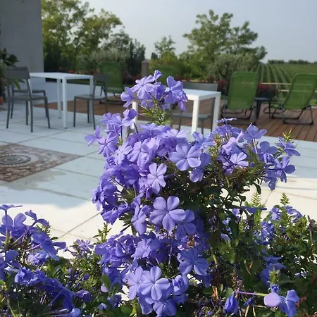 Casa de hóspedes Poggio Bardolino