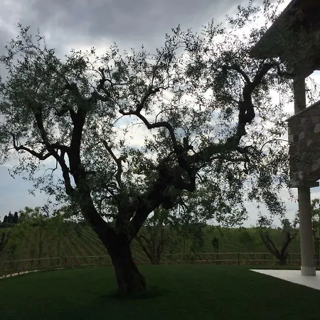 Maison d'hôtes Poggio