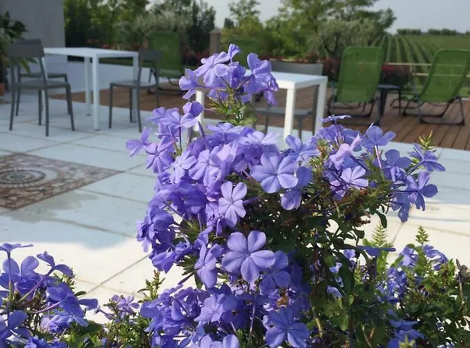 Vendégház Poggio Bardolino