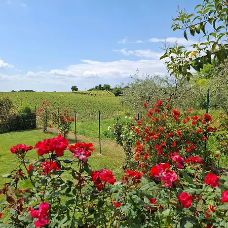 Poggio 게스트하우스