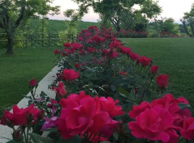 Poggio 3* 바르돌리노