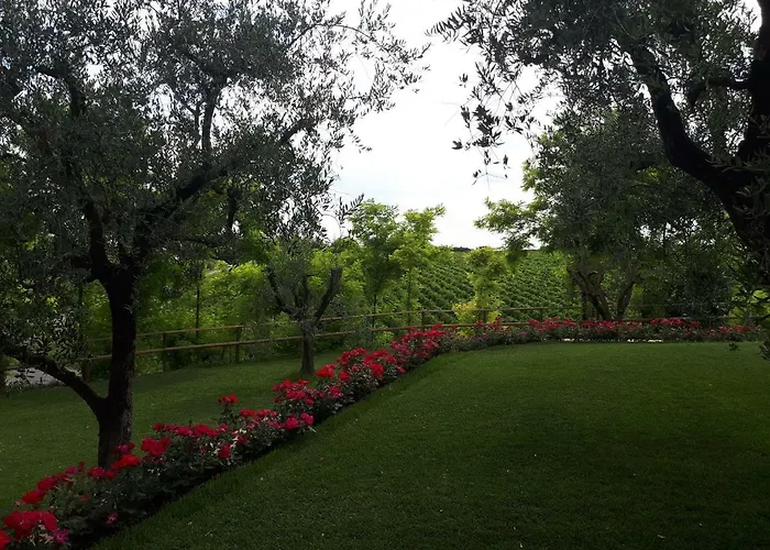 게스트하우스 Poggio 3*